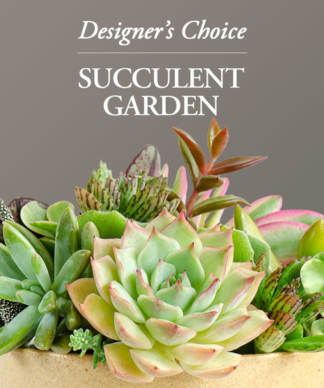 succulent garden